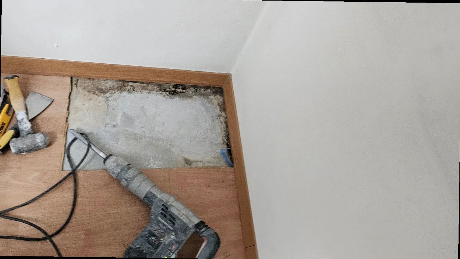 천안시 서북구 누수탐지 천장 얼룩과 벽면 변색을 확인하는 현장 점검 모습